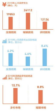 春节农村市场调查 155个集贸市场中过半存疑似假冒产品